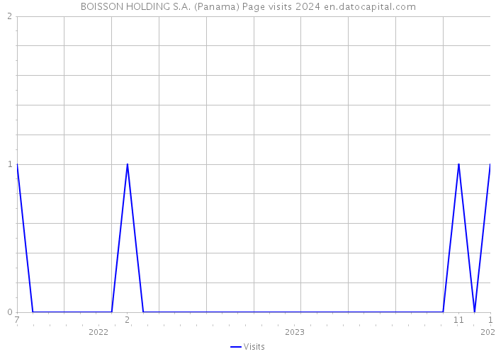 BOISSON HOLDING S.A. (Panama) Page visits 2024 