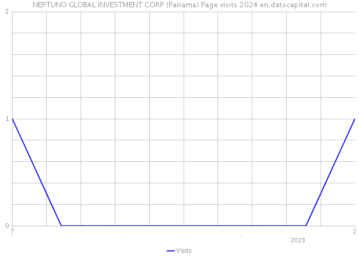NEPTUNO GLOBAL INVESTMENT CORP (Panama) Page visits 2024 