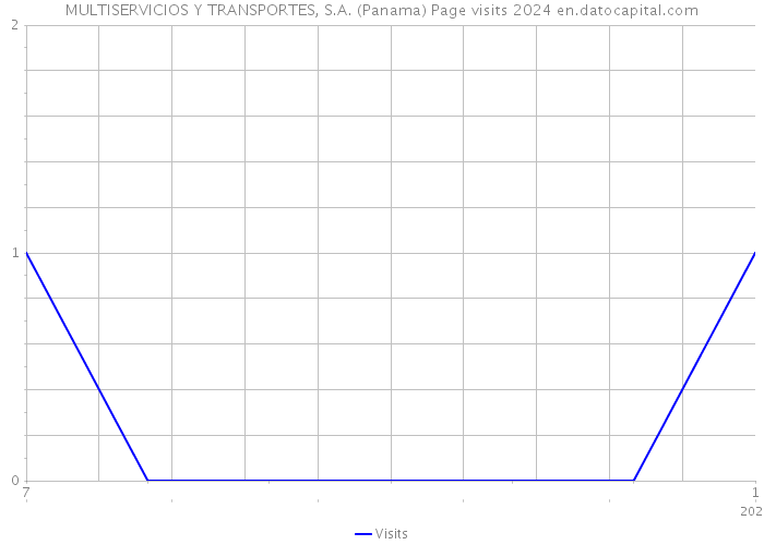 MULTISERVICIOS Y TRANSPORTES, S.A. (Panama) Page visits 2024 