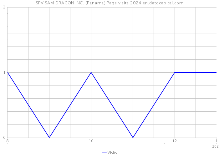 SPV SAM DRAGON INC. (Panama) Page visits 2024 