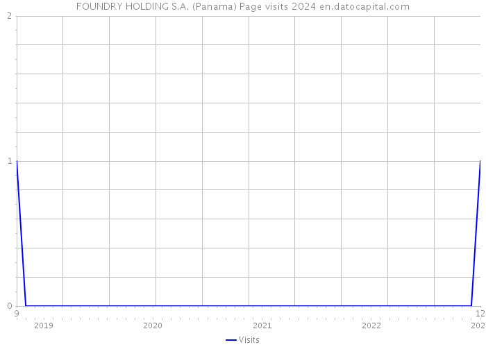 FOUNDRY HOLDING S.A. (Panama) Page visits 2024 