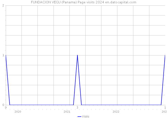 FUNDACION VEGU (Panama) Page visits 2024 
