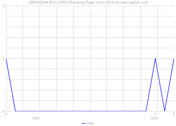 GERARDINA BOCCHINO (Panama) Page visits 2024 