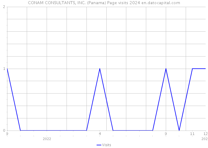 CONAM CONSULTANTS, INC. (Panama) Page visits 2024 