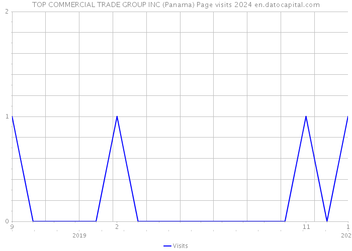 TOP COMMERCIAL TRADE GROUP INC (Panama) Page visits 2024 
