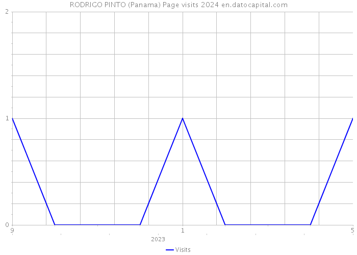 RODRIGO PINTO (Panama) Page visits 2024 