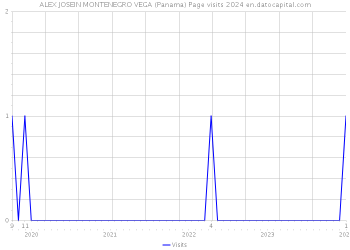 ALEX JOSEIN MONTENEGRO VEGA (Panama) Page visits 2024 