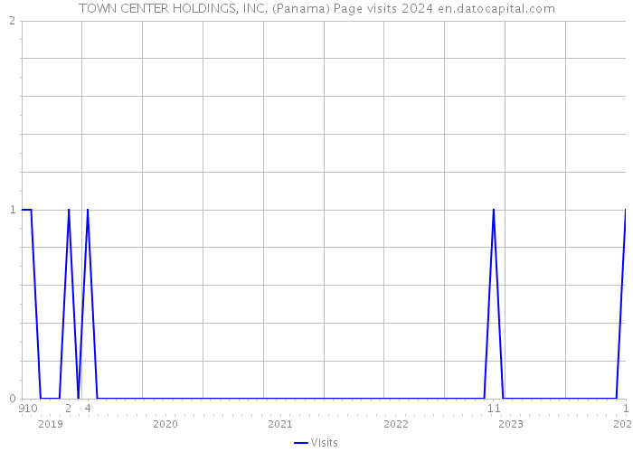 TOWN CENTER HOLDINGS, INC. (Panama) Page visits 2024 