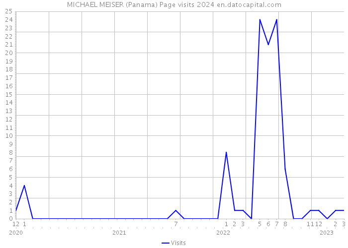 MICHAEL MEISER (Panama) Page visits 2024 