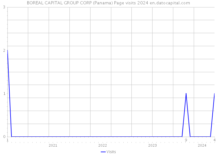 BOREAL CAPITAL GROUP CORP (Panama) Page visits 2024 