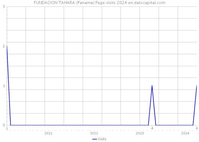 FUNDACION TAHARA (Panama) Page visits 2024 