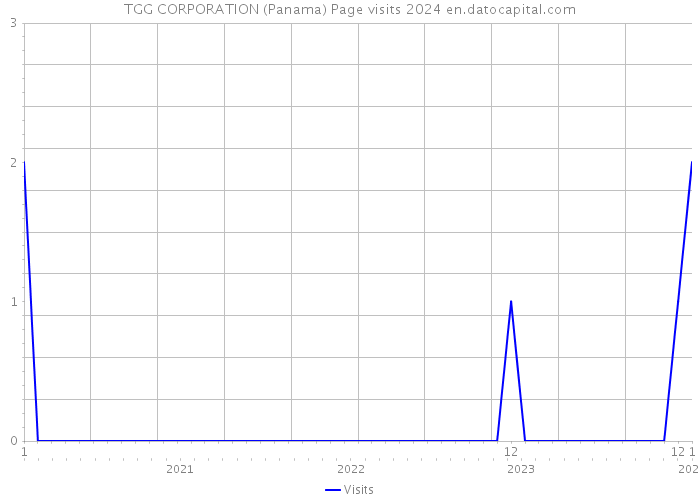 TGG CORPORATION (Panama) Page visits 2024 