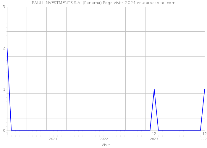 PAULI INVESTMENTS,S.A. (Panama) Page visits 2024 