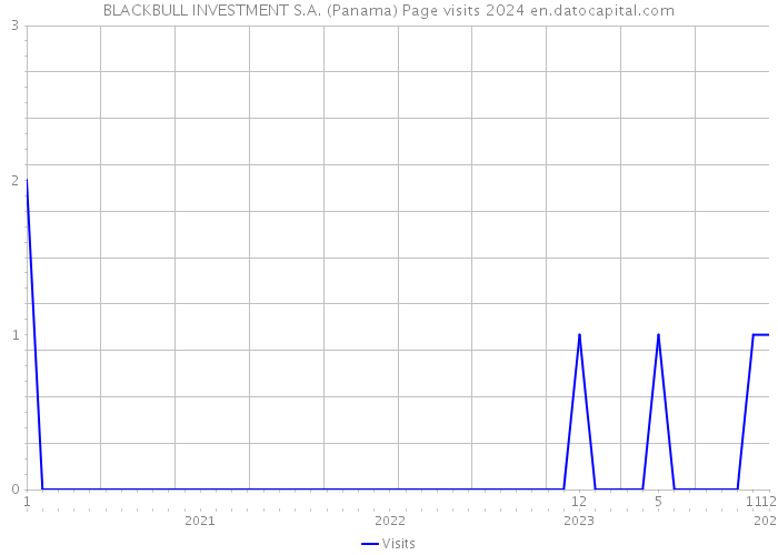 BLACKBULL INVESTMENT S.A. (Panama) Page visits 2024 