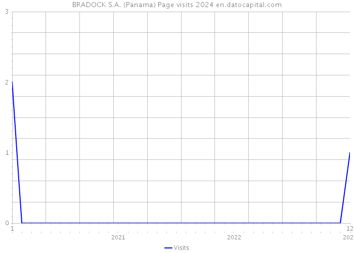 BRADOCK S.A. (Panama) Page visits 2024 