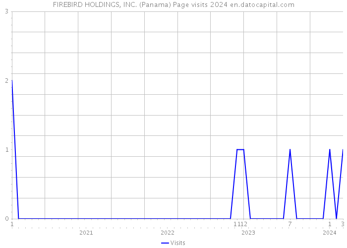 FIREBIRD HOLDINGS, INC. (Panama) Page visits 2024 