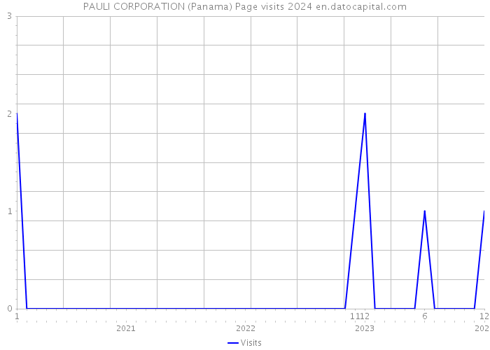 PAULI CORPORATION (Panama) Page visits 2024 