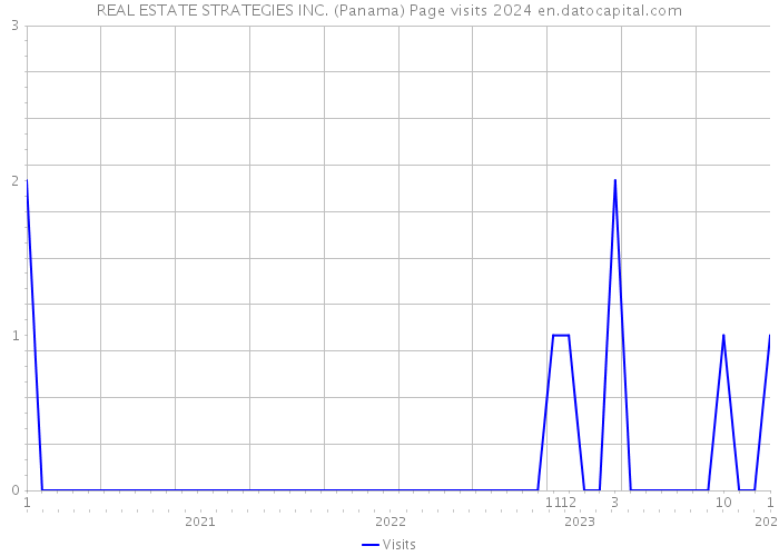 REAL ESTATE STRATEGIES INC. (Panama) Page visits 2024 
