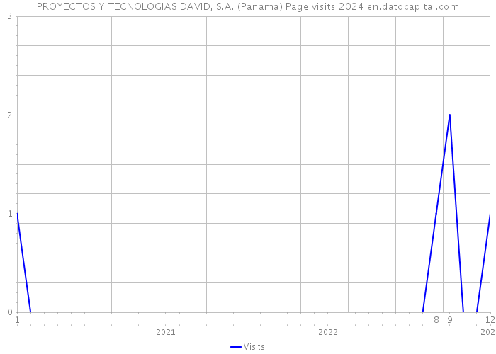 PROYECTOS Y TECNOLOGIAS DAVID, S.A. (Panama) Page visits 2024 