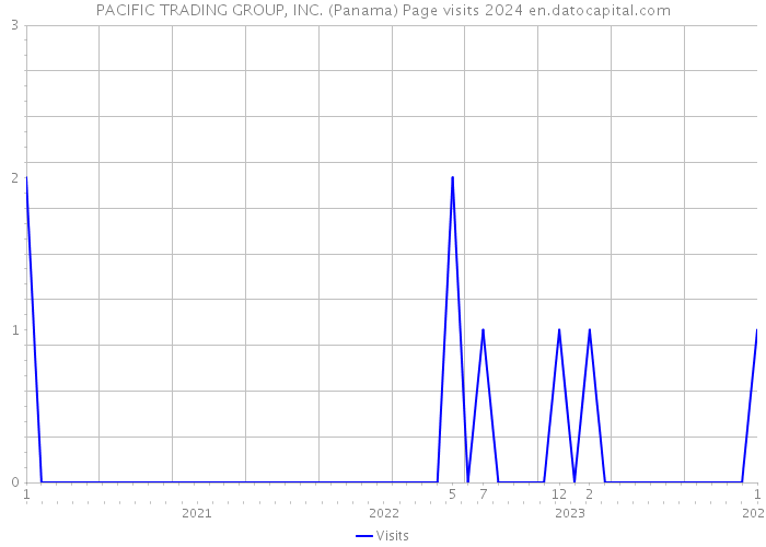 PACIFIC TRADING GROUP, INC. (Panama) Page visits 2024 