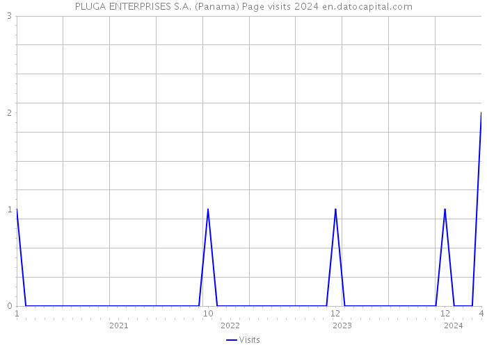 PLUGA ENTERPRISES S.A. (Panama) Page visits 2024 