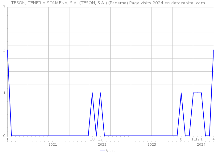 TESON, TENERIA SONAENA, S.A. (TESON, S.A.) (Panama) Page visits 2024 