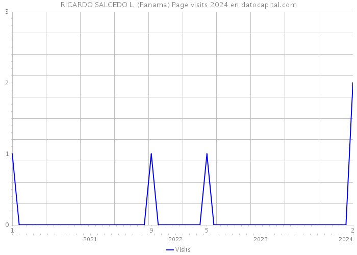 RICARDO SALCEDO L. (Panama) Page visits 2024 