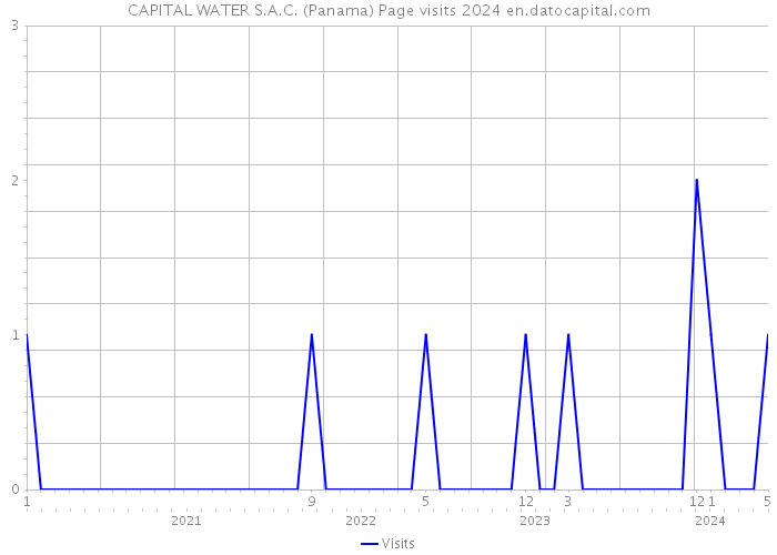 CAPITAL WATER S.A.C. (Panama) Page visits 2024 