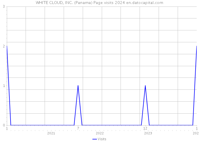 WHITE CLOUD, INC. (Panama) Page visits 2024 