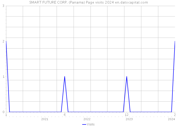 SMART FUTURE CORP. (Panama) Page visits 2024 
