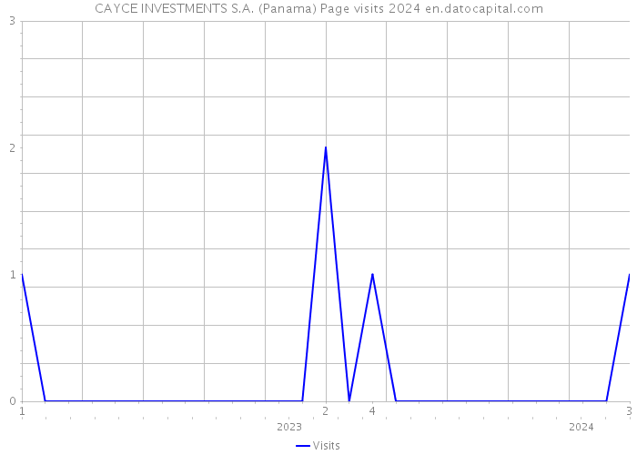 CAYCE INVESTMENTS S.A. (Panama) Page visits 2024 