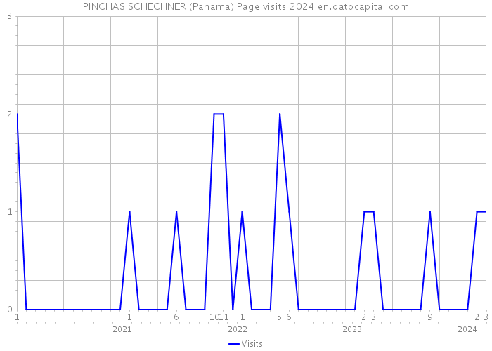PINCHAS SCHECHNER (Panama) Page visits 2024 
