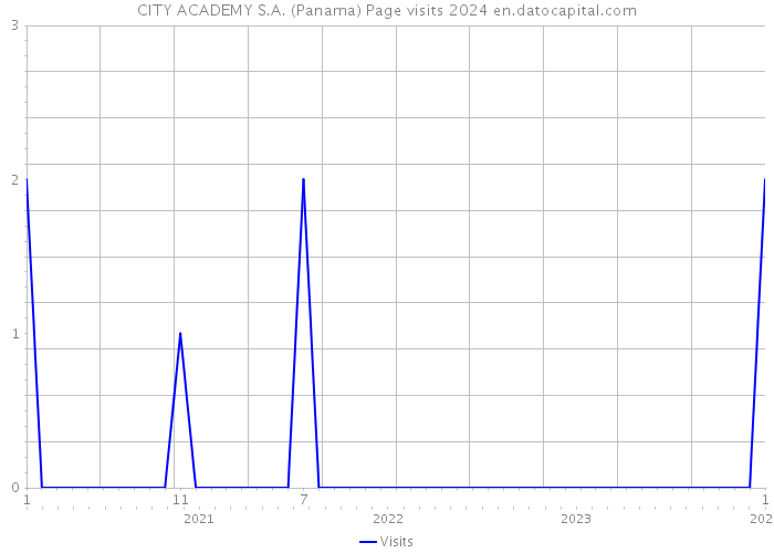CITY ACADEMY S.A. (Panama) Page visits 2024 