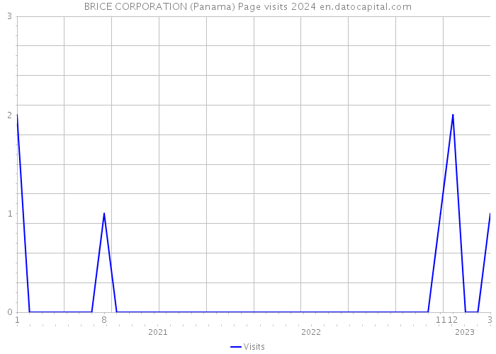 BRICE CORPORATION (Panama) Page visits 2024 