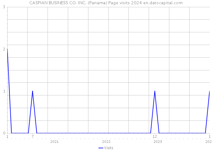 CASPIAN BUSINESS CO. INC. (Panama) Page visits 2024 