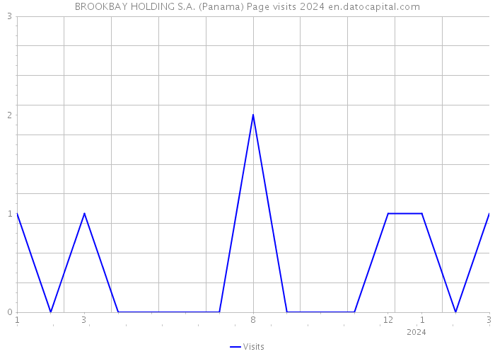 BROOKBAY HOLDING S.A. (Panama) Page visits 2024 