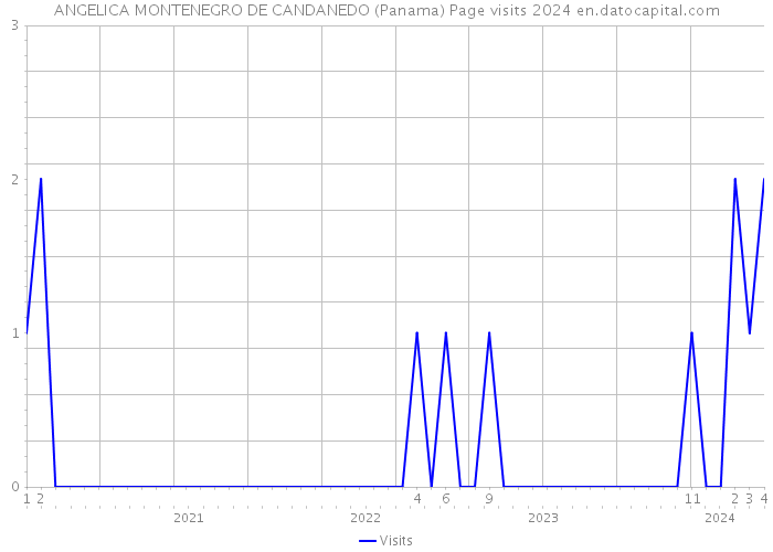 ANGELICA MONTENEGRO DE CANDANEDO (Panama) Page visits 2024 