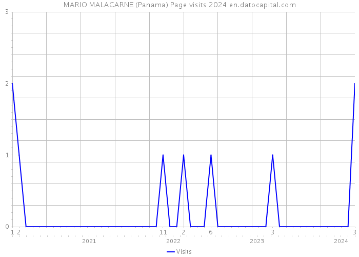 MARIO MALACARNE (Panama) Page visits 2024 