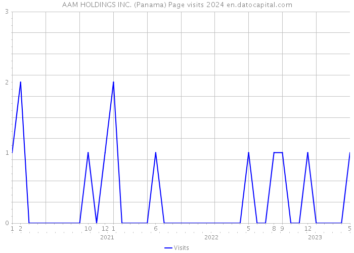 AAM HOLDINGS INC. (Panama) Page visits 2024 