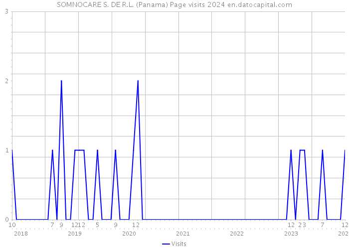 SOMNOCARE S. DE R.L. (Panama) Page visits 2024 