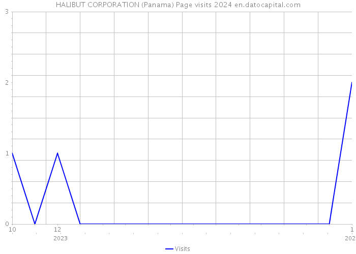 HALIBUT CORPORATION (Panama) Page visits 2024 