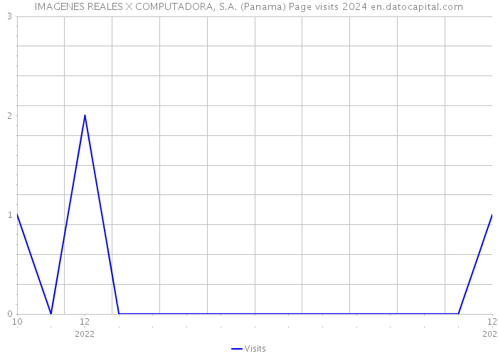 IMAGENES REALES X COMPUTADORA, S.A. (Panama) Page visits 2024 