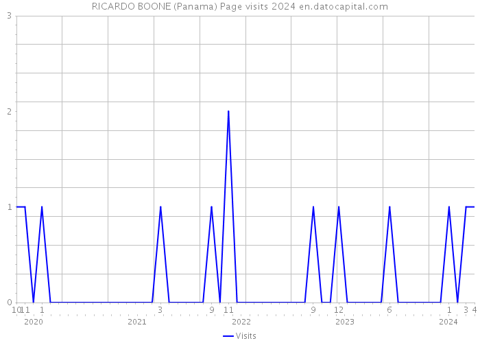 RICARDO BOONE (Panama) Page visits 2024 