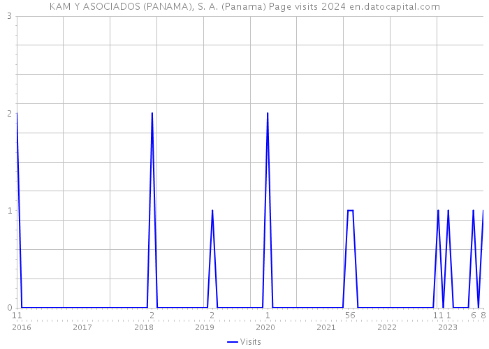 KAM Y ASOCIADOS (PANAMA), S. A. (Panama) Page visits 2024 