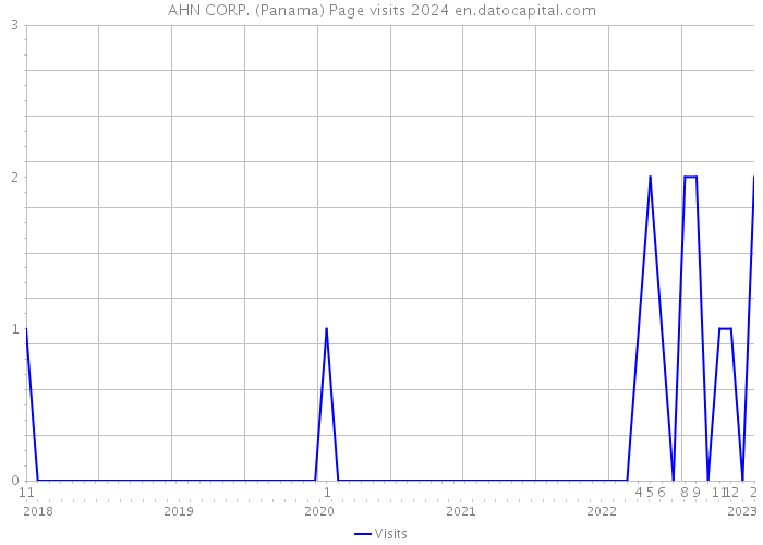 AHN CORP. (Panama) Page visits 2024 