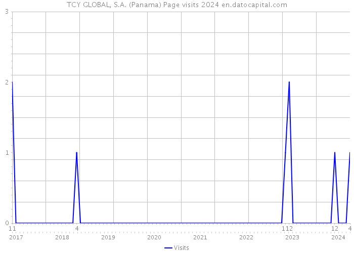 TCY GLOBAL, S.A. (Panama) Page visits 2024 
