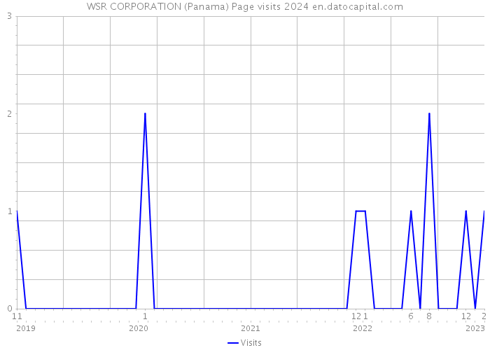 WSR CORPORATION (Panama) Page visits 2024 