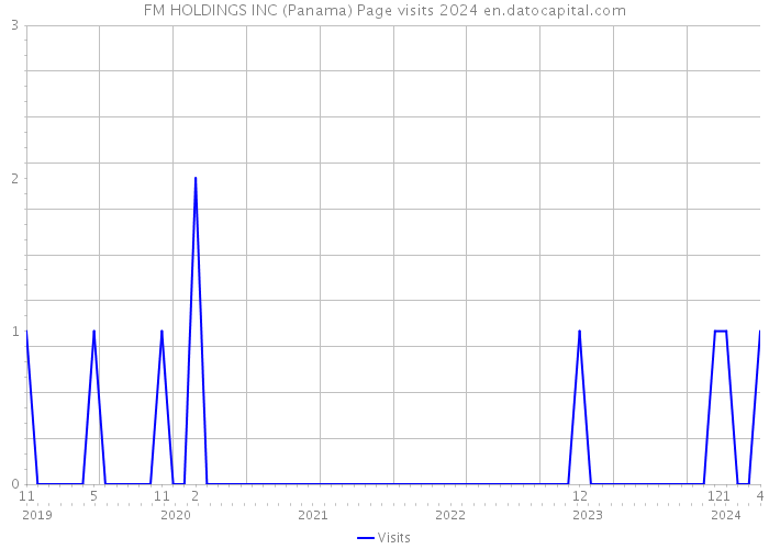 FM HOLDINGS INC (Panama) Page visits 2024 