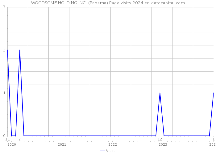 WOODSOME HOLDING INC. (Panama) Page visits 2024 