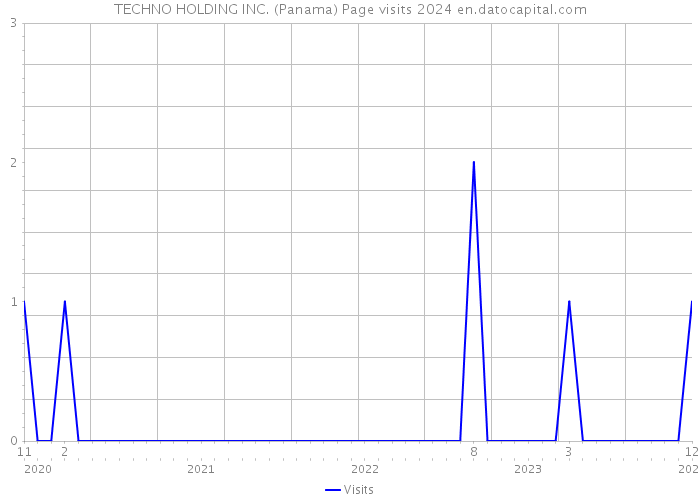 TECHNO HOLDING INC. (Panama) Page visits 2024 